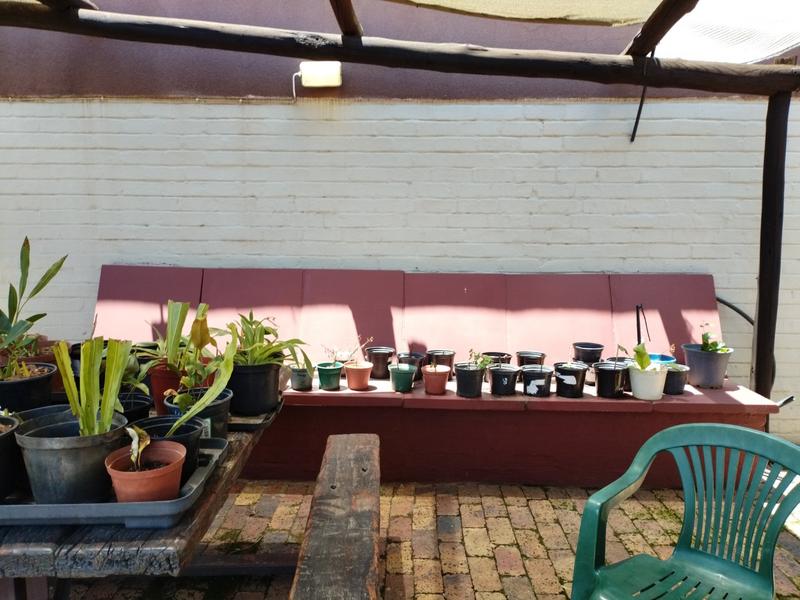 To Let 3 Bedroom Property for Rent in Sasolburg Free State